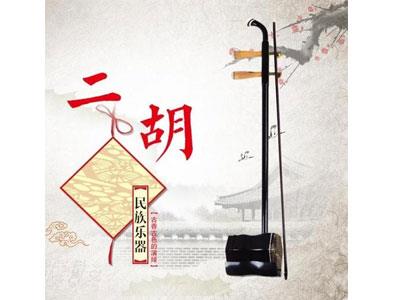 招聘保定二胡家教老师